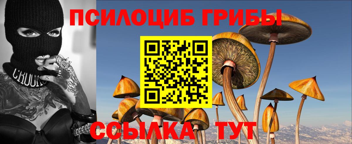 Энгельс  Галлюциногенные грибы GOLDEN TEACHER  Вход с VPN 